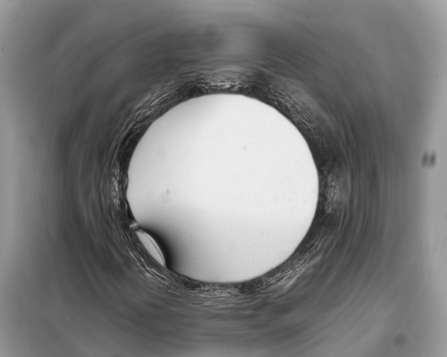 X0000098101394200805021058