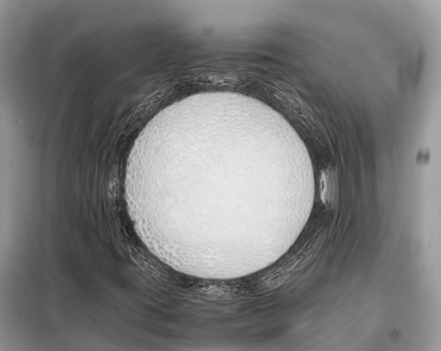 X0000098101395200805021058