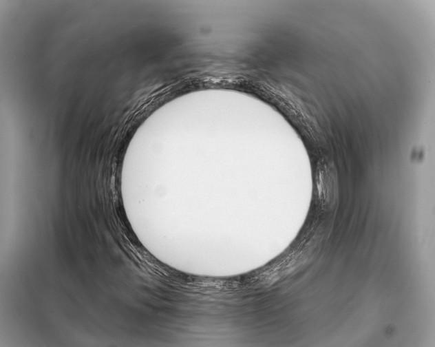 X0000098101396200805021059