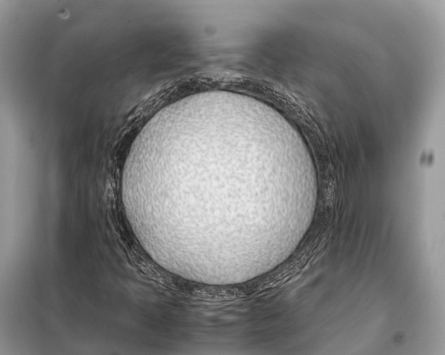 X0000098101397200805021059