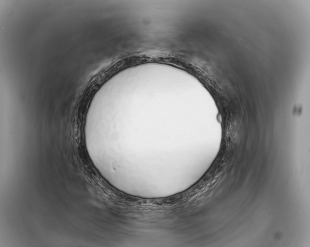 X0000098101398200805021059