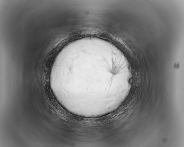 X0000098101399200805021059