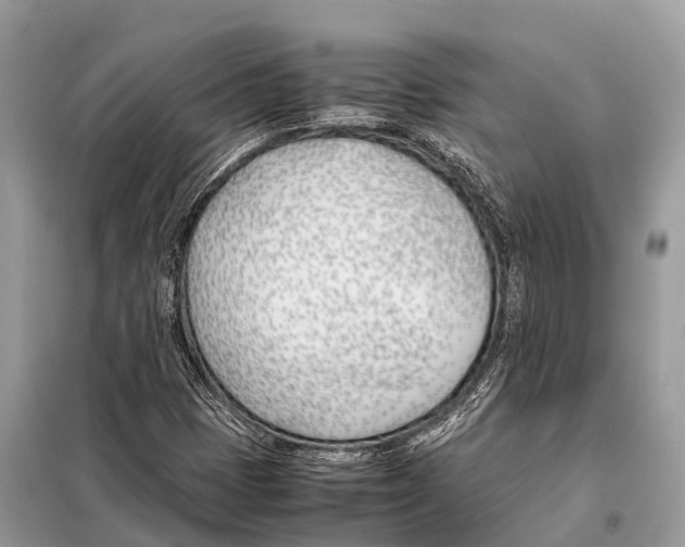 X0000098101401200805021059