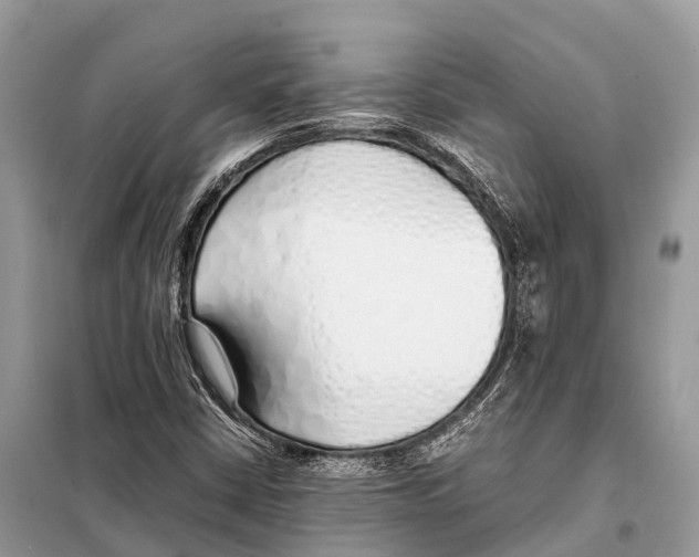 X0000098101402200805021059