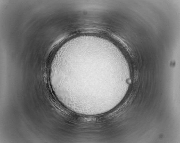 X0000098101403200805021059
