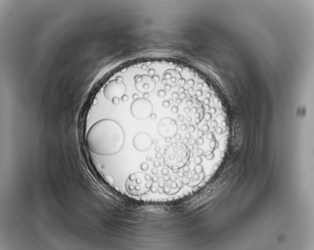 X0000098101404200805021059