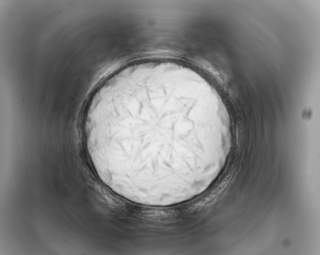 X0000098101405200805021059