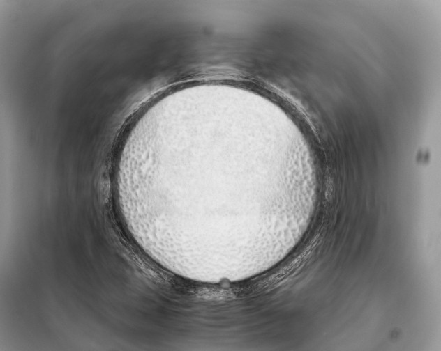 X0000098101407200805021059