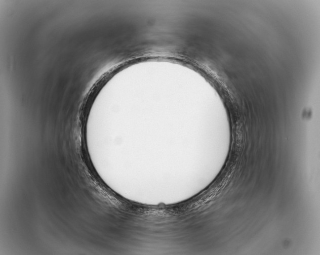 X0000098101408200805021059