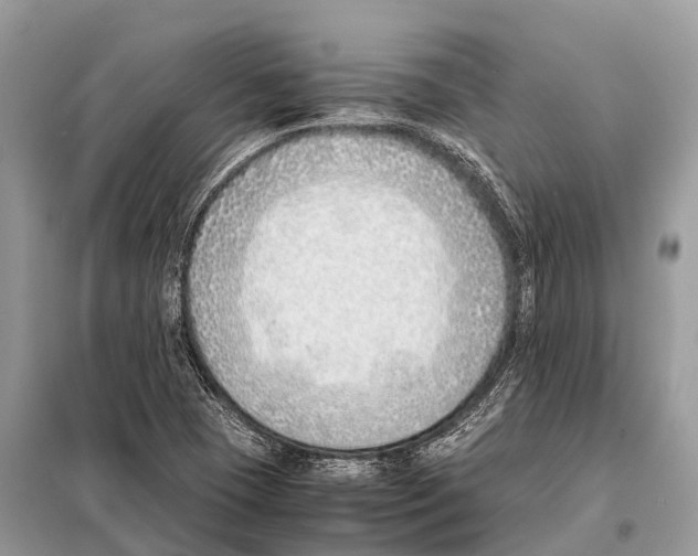 X0000098101409200805021059