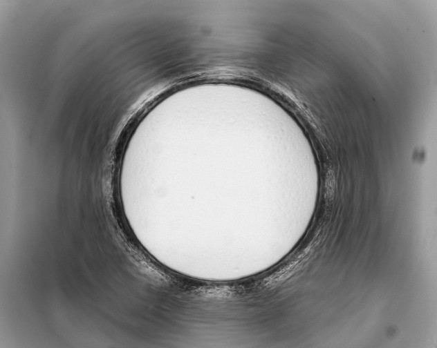 X0000098101410200805021059