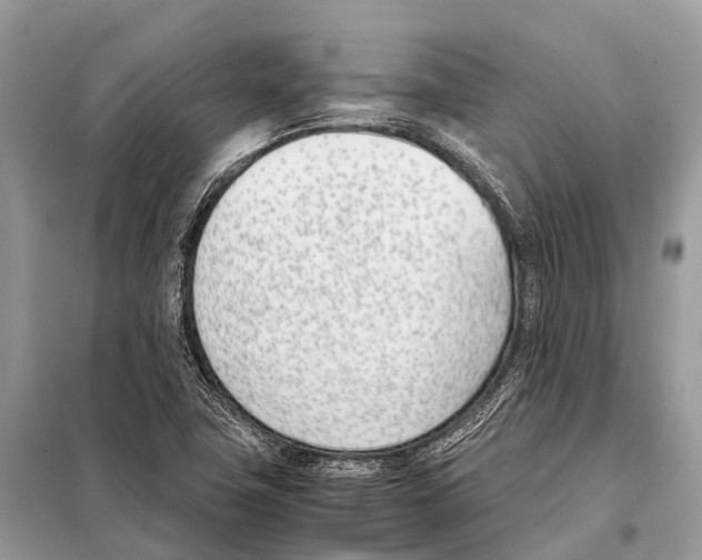 X0000098101411200805021059