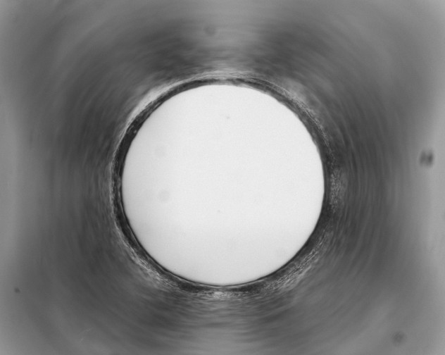X0000098101412200805021059
