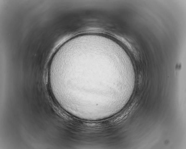 X0000098101413200805021059