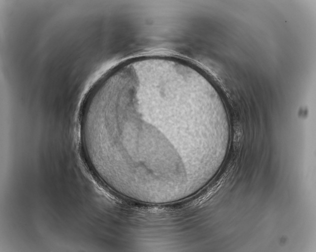 X0000098101414200805021059