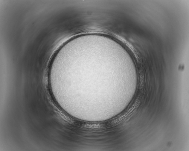 X0000098101415200805021059