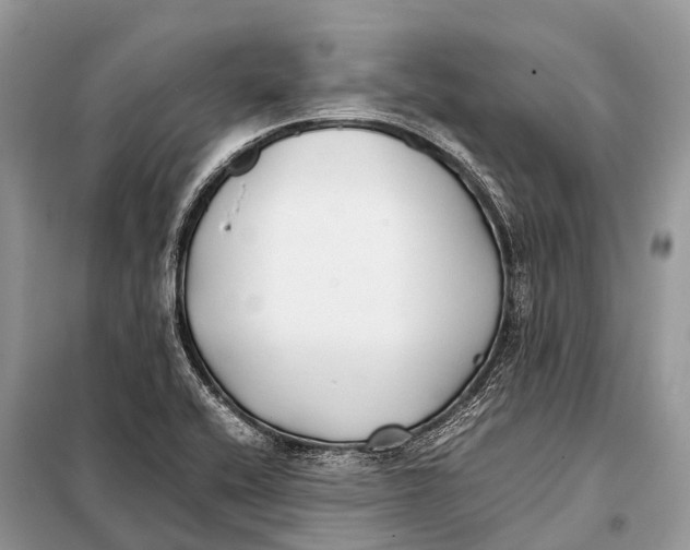 X0000098101416200805021059
