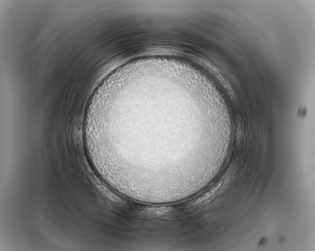 X0000098101417200805021059