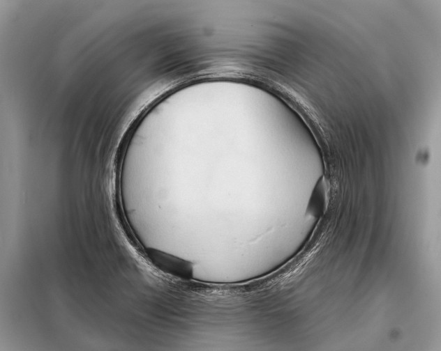 X0000098101418200805021059