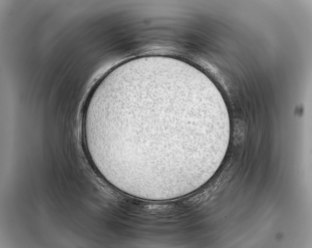X0000098101419200805021059