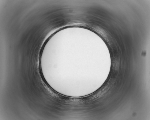 X0000098101420200805021059
