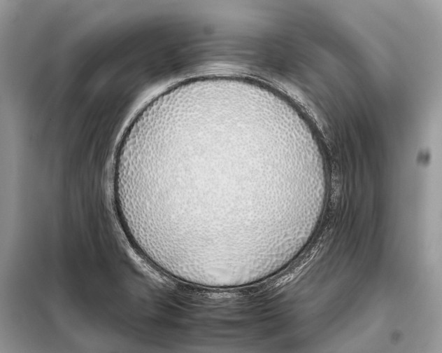 X0000098101421200805021059