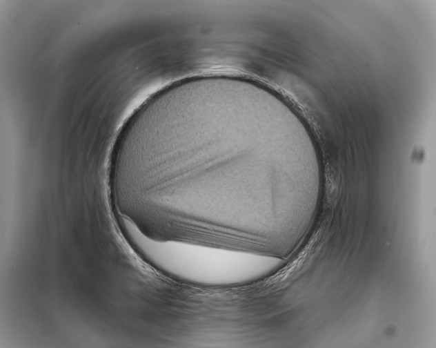 X0000098101422200805021059