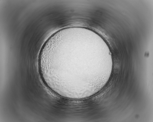 X0000098101423200805021059