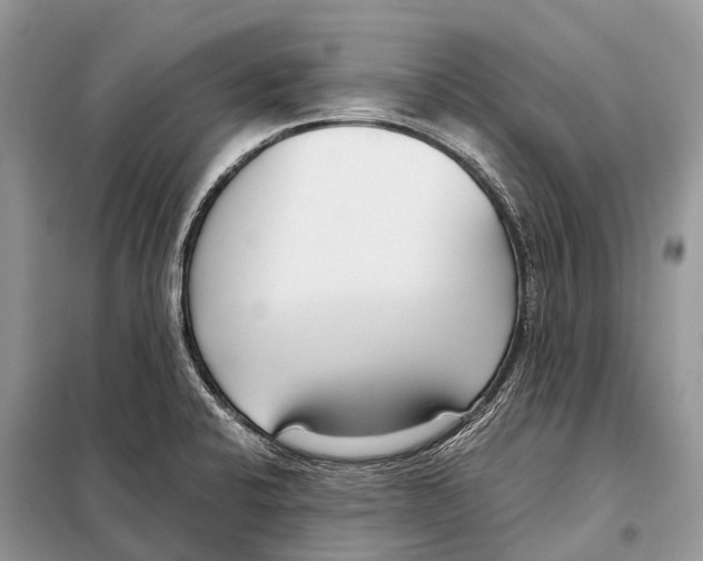 X0000098101424200805021059