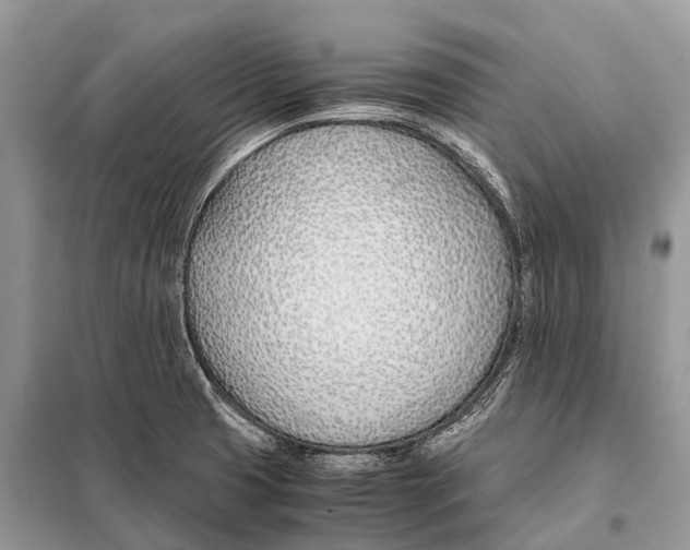 X0000098101425200805021059
