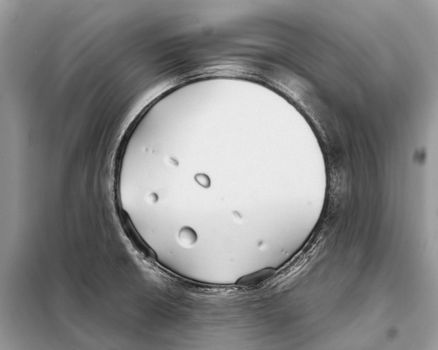 X0000098101426200805021059