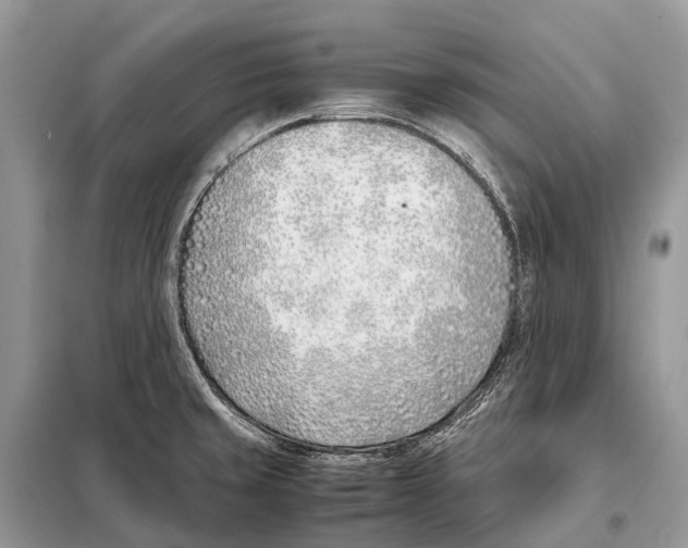 X0000098101429200805021059