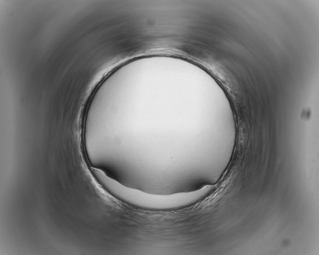 X0000098101430200805021059