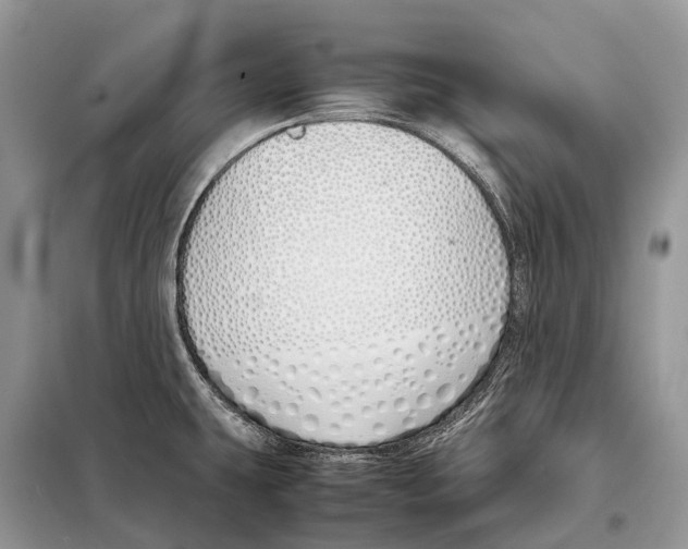 X0000098101431200805021059