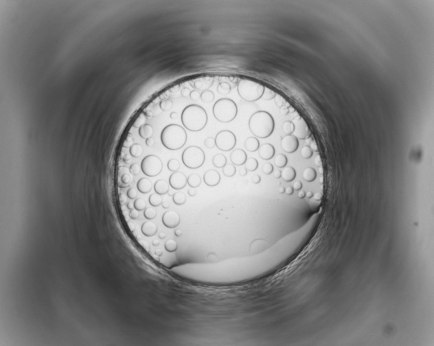 X0000098101432200805021059