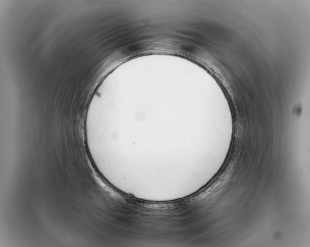 X0000098101433200805021059