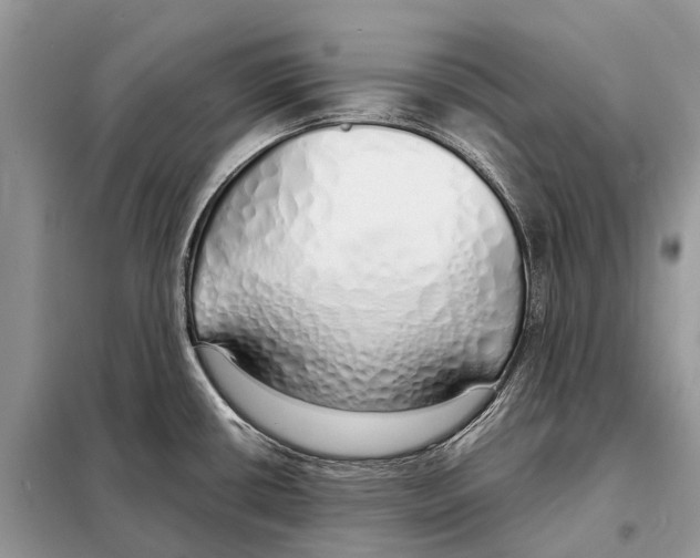 X0000098101434200805021059