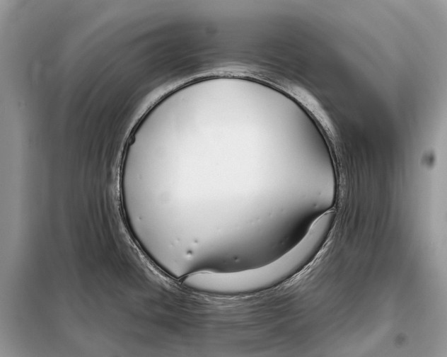 X0000098101436200805021059