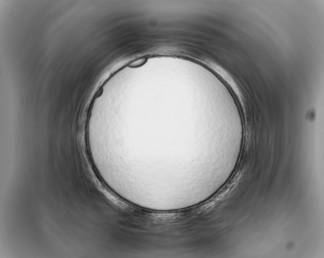 X0000098101437200805021059