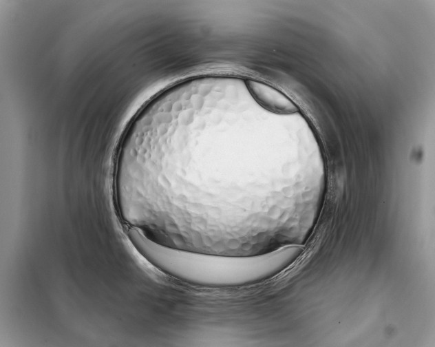 X0000098101438200805021059