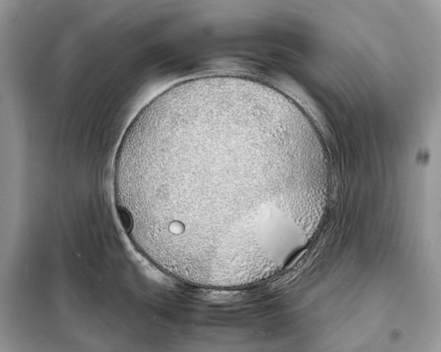 X0000098101439200805021059