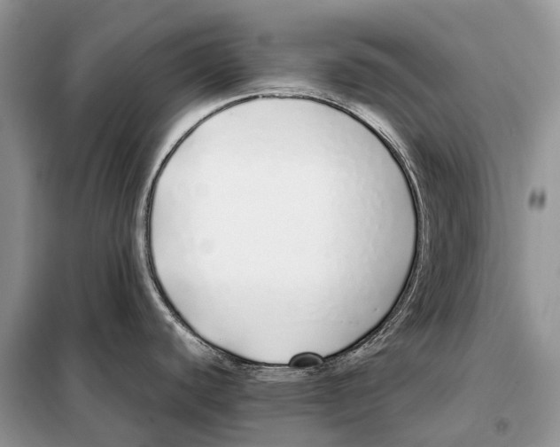 X0000098101440200805021059