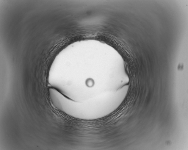 X0000098101441200805021058