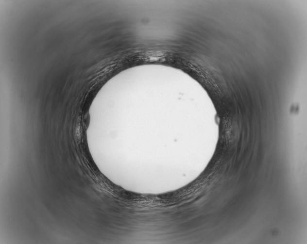 X0000098101442200805021058