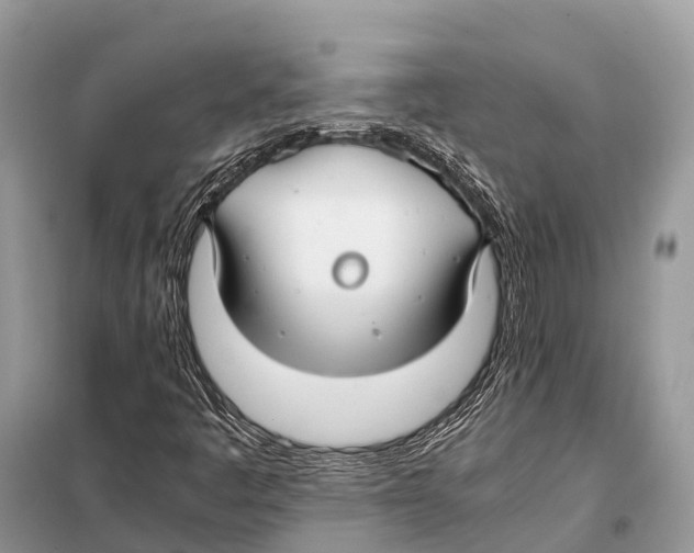 X0000098101445200805021058