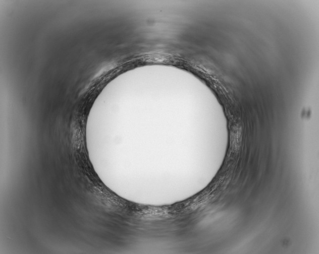 X0000098101446200805021058