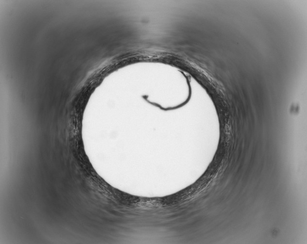 X0000098101447200805021058