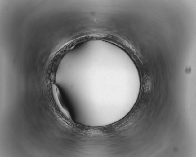 X0000098101448200805021058