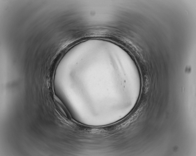 X0000098101449200805021058