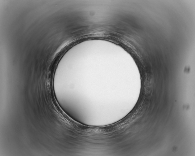 X0000098101450200805021058